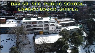 CBSE RESULT CLASS XII 202324 DAV SR SEC PUBLIC SCHOOL LAKKAR BAZAR SHIMLA HP [upl. by Akinaj263]