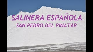 SALINERA ESPAÑOLA  SAN PEDRO DEL PINATAR [upl. by Gant]