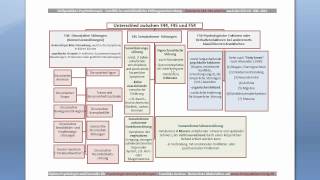 Übersicht Dissoziative und Somatoforme Störungen für die Heilpraktikerprüfung [upl. by Dennie]