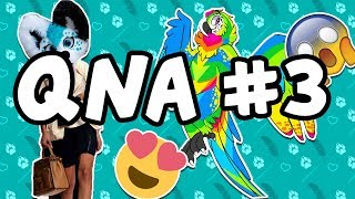 Fursuit Fashion rainbow fursuits and more QnA 3 [upl. by Natan]