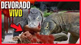 Los ATROCES ULTIMOS MINUTOS de RUDOLF – DRAGON de KOMODO ATACA a hombre [upl. by Kurtzig]