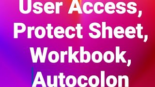 Excel 1011 Auto Colon Protect Sheet and Workbook Lock Cell and Password to Open the File [upl. by Hgeilhsa]