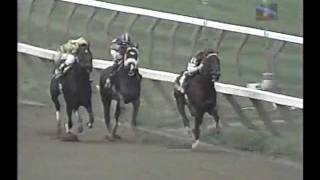 Saratoga  Travers Day 1996  Full Race Card [upl. by Aldos]