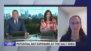 Chicago Dept of Public Health explains bat exposure at Salt Shed [upl. by Bernadine744]