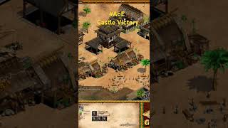 AoE Castle Victory Chinese vs 7 Random [upl. by Dier]