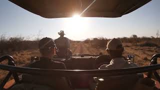 Madikwe Game Reserve Zebra 1 [upl. by Ordnasela]