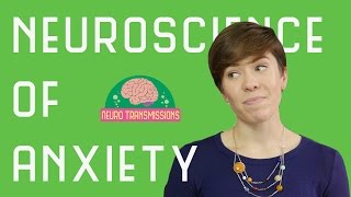 Neuroscience of Anxiety [upl. by Otes]