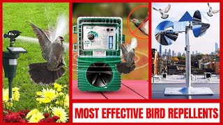 Best Bird Deterrent Devices  Quick amp Humane Ways to Keep Birds Away [upl. by Adlay]