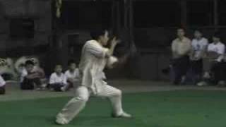 Xin Hui choy lee fut USASifu Wong Zen Yem [upl. by Ailecra197]