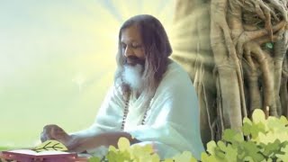 The Journey of Maharishi Ayurveda A Brand Film [upl. by Aicitan]