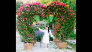 Songkhla Flower Farm สวนดอกไม้แห่งแรกในสงขลา [upl. by Ortrud827]