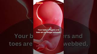 Pregnancy Week 10 Changes You MUST Know pregnancy pregnant pregnancyweek10 pregnancysymptoms [upl. by Salta]