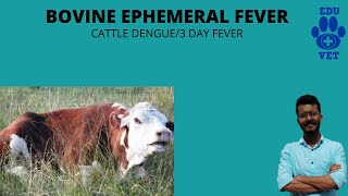 BOVINE EPHEMERAL FEVER Simplified [upl. by Ahsik]