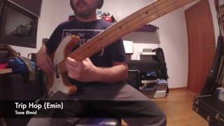 Ibanez Telecaster Bass 1973  Demo [upl. by Henni399]