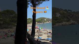 Paguera 🧡 Tora Strand 🏖 34 ° ☀️ Mallorca 🇪🇸 Top [upl. by Ot]