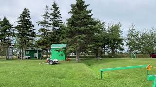 Linkletter Provincial Park Summerside PEI Canada Walkthrough [upl. by Aicargatla909]