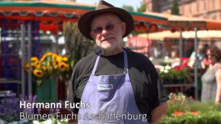 Wochenmarkt Aschaffenburg [upl. by Alburga643]