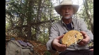 Kayak day trip Bannock shore lunch [upl. by Adala]