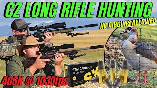 CZ LONG RIFLE HUNTING I NO AIR GUN ALLOWED I RIMFIRE PEST CONTROL [upl. by Eniretak]