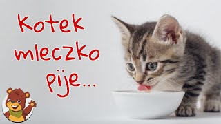 Kotek mleczko pije  Miś Tami TV  Piosenki dla dzieci [upl. by Nyladnek]