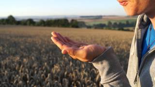 Landwirtschaft ein Leben für sich [upl. by Navillus503]