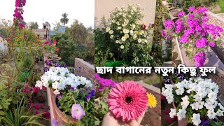 Winter Garden TourWinter Terrace Gardenআমার ছাদ বাগানের নতুন কিছু ফুলছাদ বাগান করার পদ্ধতি [upl. by Phare]