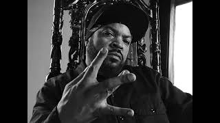 Free ICE CUBE Type Beat  quotBad Dayquot 2024 [upl. by Phiona233]