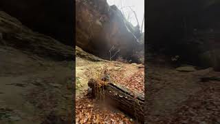 Sweet “caves” at salt fork state park [upl. by Sisco182]