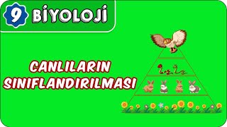 Canlıların Sınıflandırılması  9Sınıf Biyoloji [upl. by Pederson]