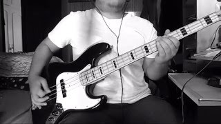 THE STROKES  HARD TO EXPLAIN BASS COVER [upl. by Ianteen]