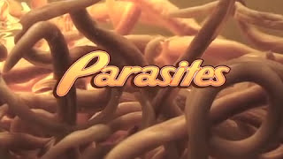 Parasites  Documentary 2008 [upl. by Ennayrb]