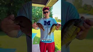 Master Angler Fish Michigan fishing trending fyp [upl. by Aisset]