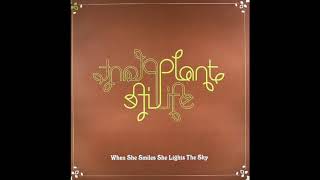 Plant Life  When She Smiles She Lights The Sky Interfearence Remix [upl. by Acissey]