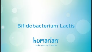 Bifidobacterium Lactis [upl. by Okim]