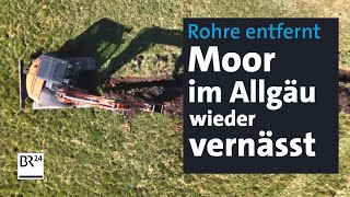 Natur und Klimaschutz Allgäuer Moore werden wieder vernässt  Abendschau  BR24 [upl. by Gretta186]