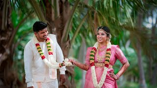 Selvakumar  Dhanani  Wedding Candid Video  Tharapuram  2023 [upl. by Procto]