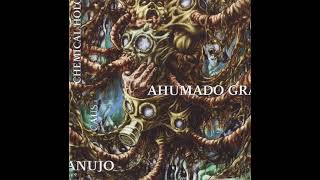 Adam Vandal  Ahumado Granujo Chemical Holocaust Bonus Track [upl. by Annnora]