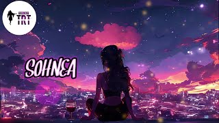 Sohnea song ♥️full female part🎙️Amazing punjabi song🤩🤩 feel the song  youtube song lofi [upl. by Darach]