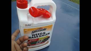 spectracide ready to use weed amp grass killer with pump sprayer only 7 bucks on Amazon 1 gallon [upl. by Yllor275]