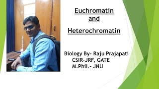 Euchromatin amp Heterochromatin [upl. by Adyaj354]