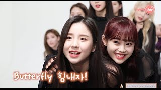 뜻밖의 TMI 대잔치 돼버린 이달의 소녀LOONA 팀워크테스트 [upl. by Eussoj951]