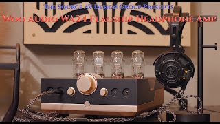 Woo Audio WA24 Flagship 20th Anniversary Headphone Amplifier Is This The Best Tube Amp of 2024 [upl. by Doralia]