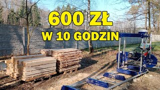 115 Własny trak  czy to się opłaca Cormak E560 [upl. by Gnem]