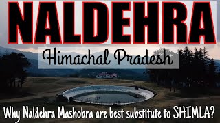 Naldehra near Mashobra is best substitute to SHIMLA Himachal Pradesh [upl. by Harraf226]