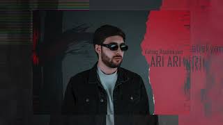 Vahag Atabekyan  Ari Ari  Official Audio [upl. by Auqenahs]