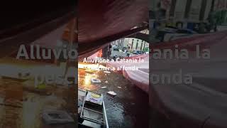 Alluvione Catania la pescheria fonda in soli 40 minuti ￼ [upl. by Selimah333]