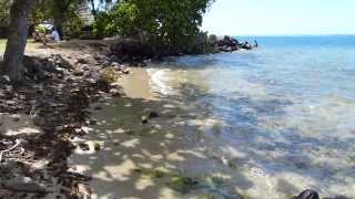 MOOREA BEACH TAHITI FRENCH POLYNESIA HD 1080p [upl. by Akimat]