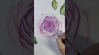 Realistic Watercolor Rose Painting Process WIP watercolors watercolorflowers watercolortutorial [upl. by Yemerej]