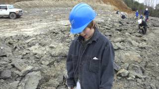 Eocene Fossil Hunting at the Cement Quarry in Harleyville South Carolina [upl. by Silenay]