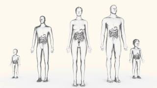 UIcerative Colitis 101 [upl. by Danyluk]